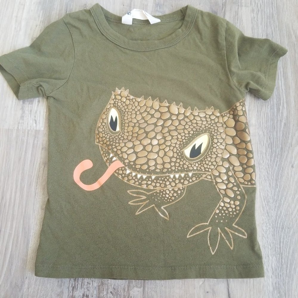 Boys H&M Lizard T-Shirt 2-4 Years
